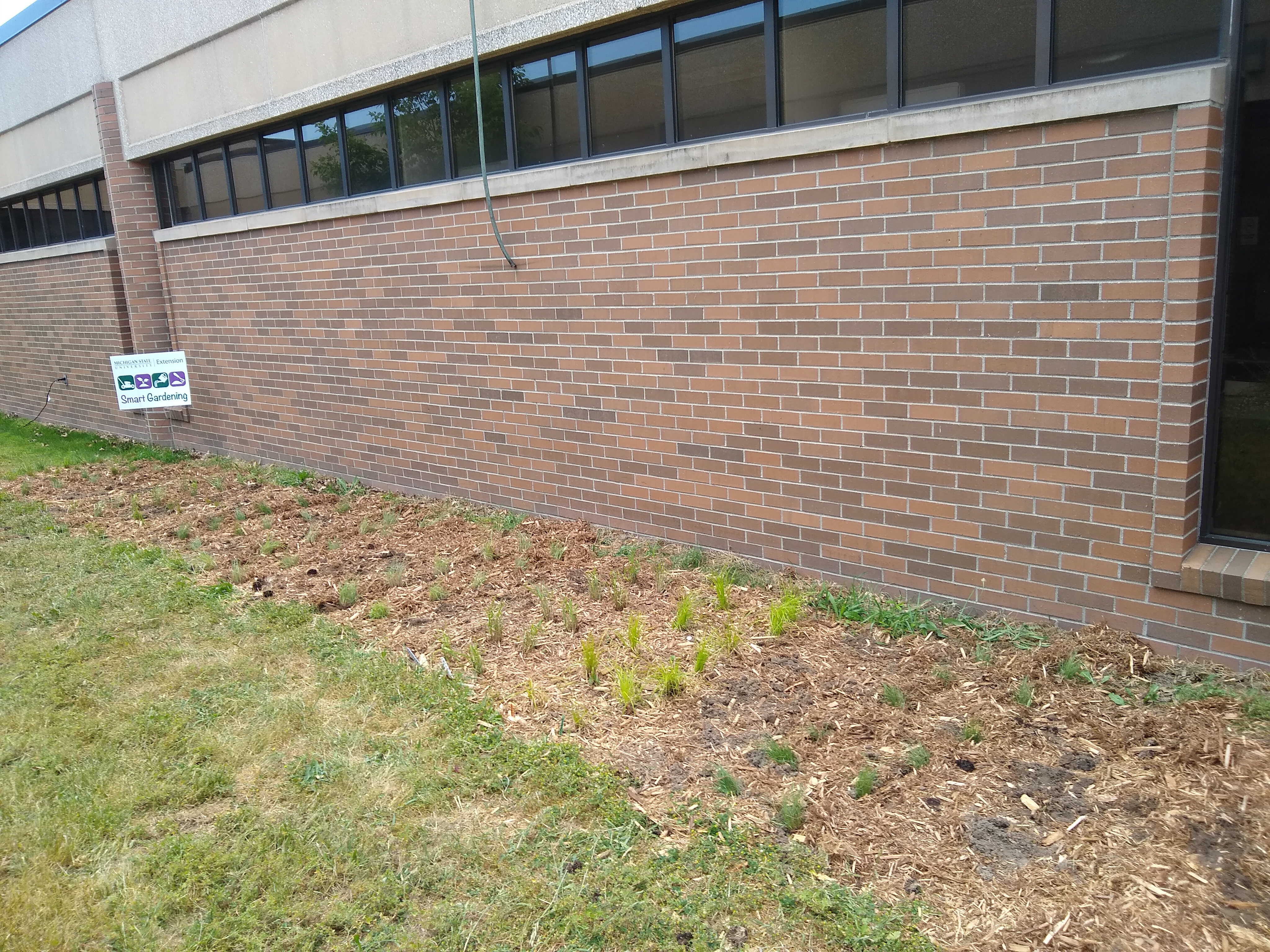 Turf-alternative demonstration garden